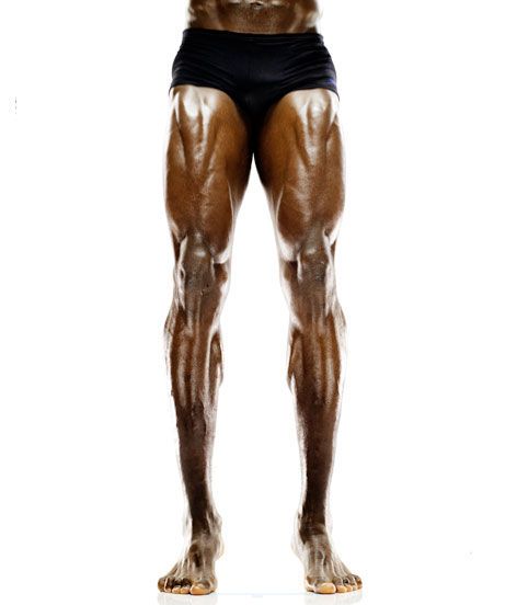 伊巴卡国籍 伊巴卡 伊巴卡肌肉_青海人网