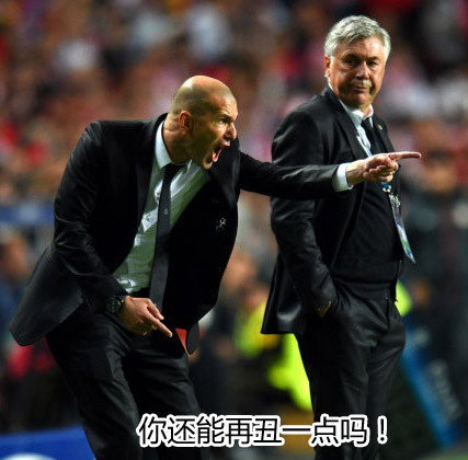齐达内表情包