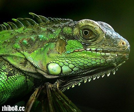 <em>小妹妹送</em>我滴郎啊,送到那<em>大门</em>外啊。(请自行参