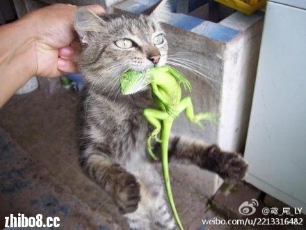 <em>小妹妹送</em>我滴郎啊,送到那<em>大门</em>外啊。(请自行参