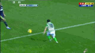 佩佩佩大师系列图集………………