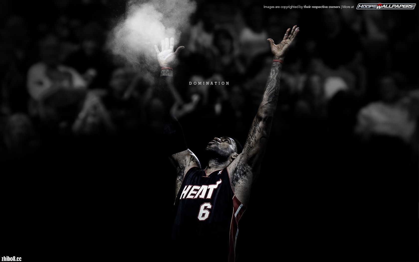 【詹姆斯生日祝福帖】我球迷生涯最不喜欢的人