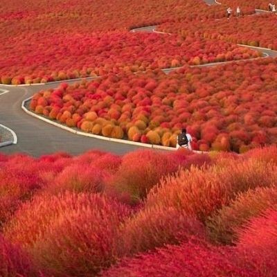 直播8天下足球头像及签名档好图集合