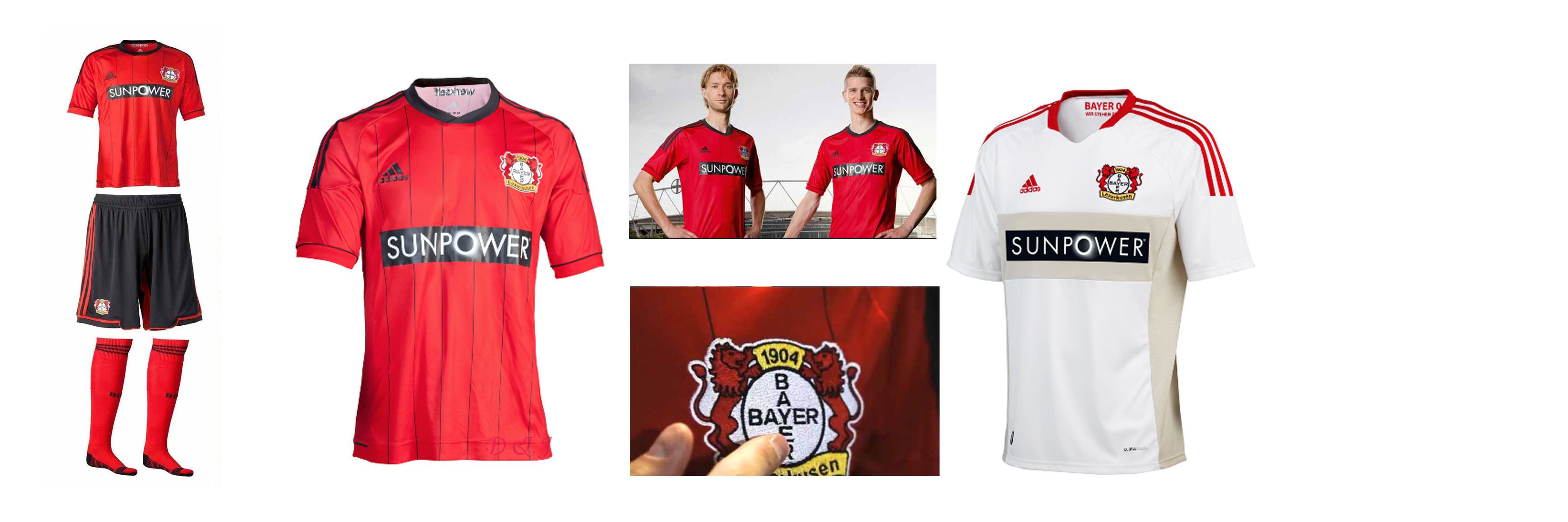 2012-2013赛季德甲联赛阅兵——勒沃库森