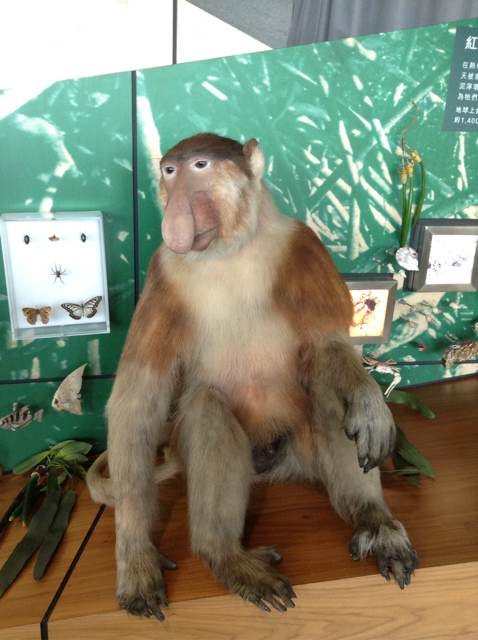 豆子刚赢现在看我家kimi了!