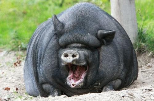 立贴为证顶个屁用 - 天下足球 - 直播吧论坛 - powered by discuz!