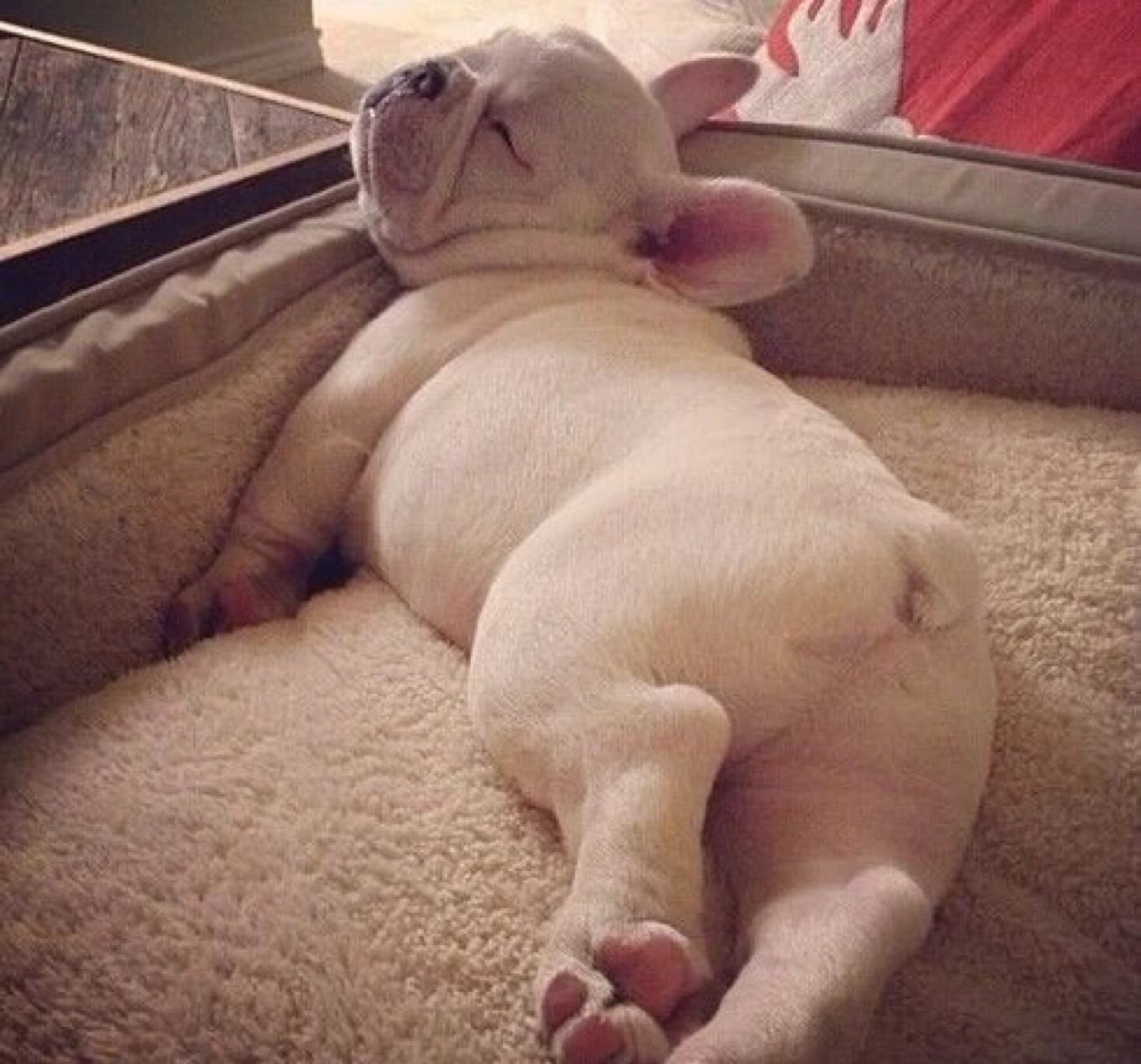 【萌萌】 不论你在哪,不论你多大,只要你有一颗童心,欢迎来卖萌!