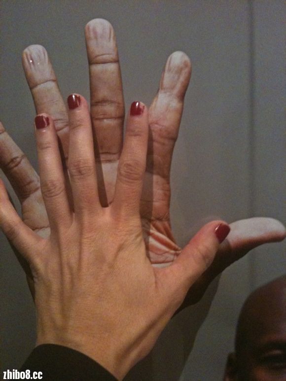 看看nba里面这些超级大手后卫们,隆多,韦德,卡特,麦