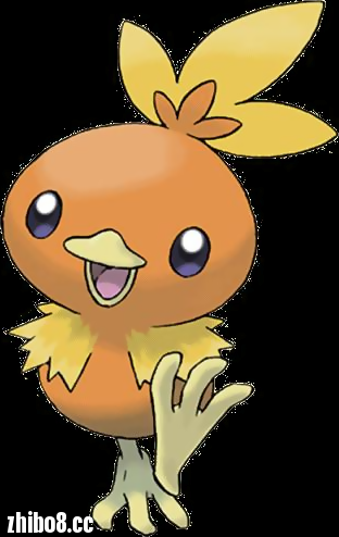 神奇宝图鉴255火稚鸡